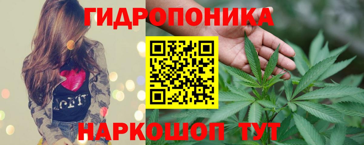 Каннабис LSD WEED  Канабис план  Шишки марихуана SATIVA & INDICA  Мурманск  Вход с VPN  Конопля план 